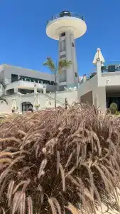 Sunrise Remal Beach Resort - 34