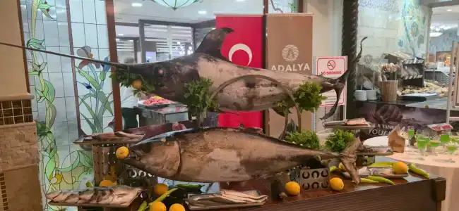 Adalya Art Side - All Inclusive - 61