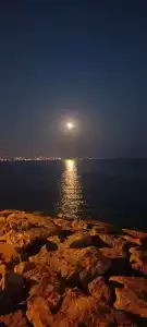 Kleopatra Atlas - Adults Only - 100