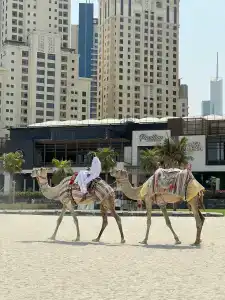 Ramada & Suites by Wyndham Dubai JBR - 4