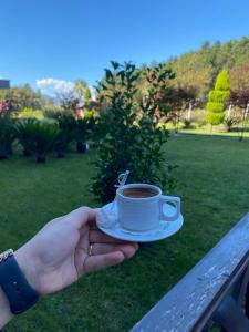 Elite World Grand Sapanca - 24