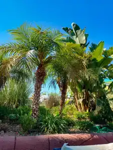 Alarchas & Resort - Ultra All Inc - 42