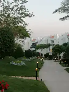 Solymar Naama Bay - 96