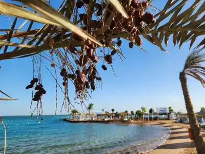 Labranda Club Makadi - 86