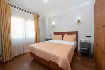 Daphne - 80