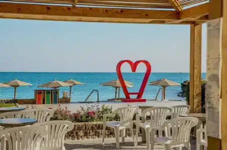 Palm Beach Resort Families and Couples only - 74