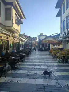 Porto Bello Resort & Spa - 14