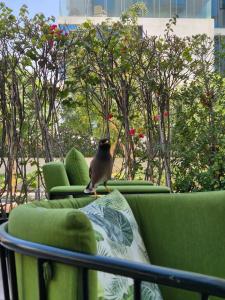 Adagio Premium The Palm - 89