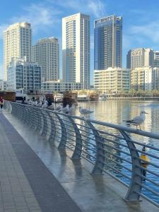 Jannah Place Dubai Marina - 20