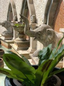 Deevana Patong Resort & Spa - SHA Extra Plus - 74