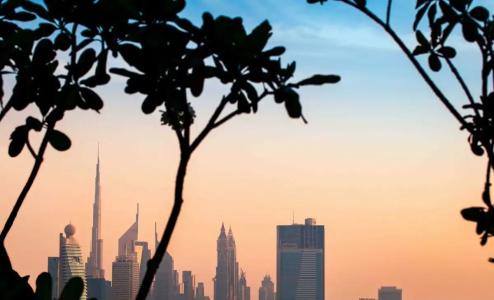 DoubleTree by Hilton Dubai M Square & Residences - 26