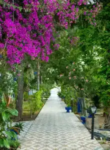 Gumbet Anil Beach - 28