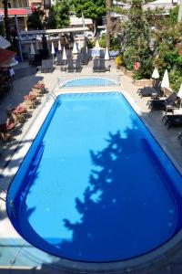 May Flower Apart - 1