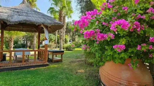 Latanya Park Resort