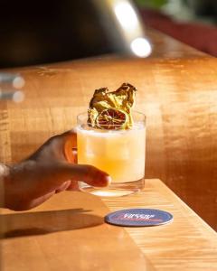 Virgins New Orleans - 54