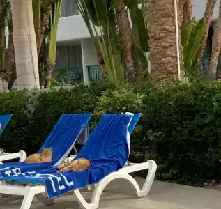 Novotel Sharm El-Sheikh - 63