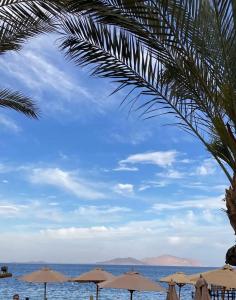 Xperience Sea Breeze Resort - 25