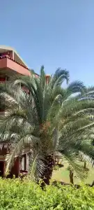 Suncity - Beach Club - 42