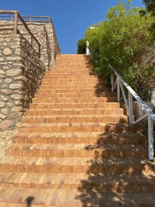 Club Reef Resort & Spa - 55