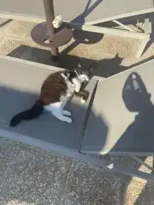 Atlantica Miramare Beach - 70