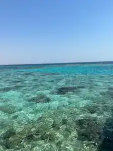 Hurghada Coral Beach - 24