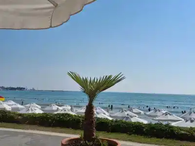 Side Star Park - All Inclusive - 62