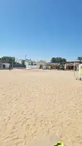 Seagull Beach Resort - Families and Couples Only - 93