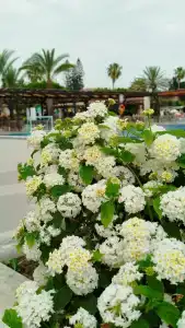 Club Nena - All Inclusive - 17