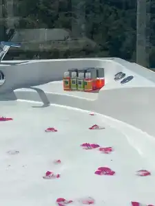 Sertil Royal Forest - 32