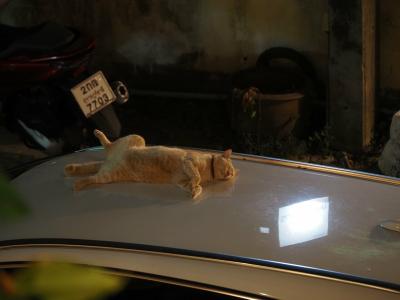 Grand Thai House Resort - 10