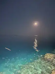 Arabia Azur Resort - 81
