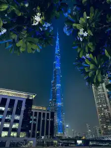 Address Sky View, Downtown Dubai - 41