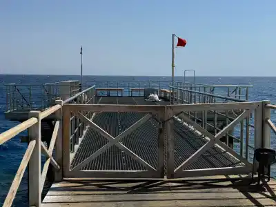 Steigenberger Alcazar - 53