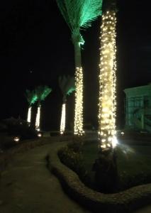 Sunny Days Palma De Mirette Resort & Spa - 99