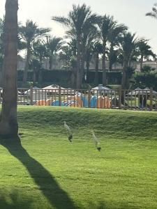 Xperience Kiroseiz Parkland - 83