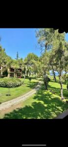 ROBINSON CAMYUVA - Adults only - 71