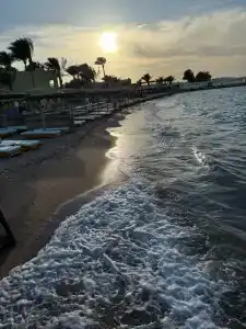 Palm Beach Resort Families and Couples only - 6