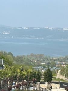 Elite World Grand Sapanca - 25