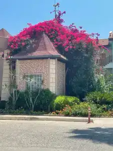 Concordia Celes Beach - Ultra All Inclusive - 32