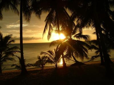 Palm Point Village - 13