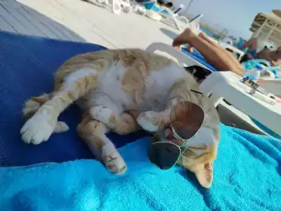 La Blanche Resort & Spa - 32