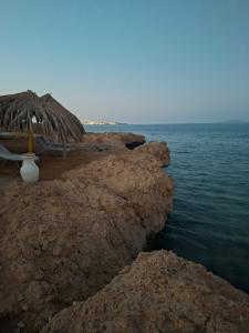 Labranda Sharm Club - 77