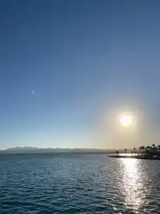 Palm Royale Resort - Soma Bay - 80