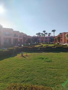 Ali Baba Palace -Families and Couples Only- - 88