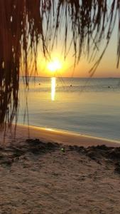 Caribbean World Resort Soma Bay - 14