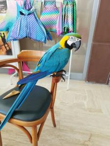 Washington Resort & Spa - 58