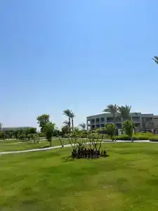 Steigenberger Resort Ras Soma - 55