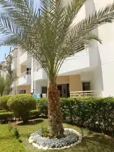 MinaMark Beach Resort for Families and Couples Only - 69