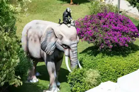 Alba Resort - Ultra All Inclusive - 24