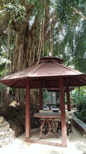 Tropica Bungalow Beach - SHA Extra Plus - 43